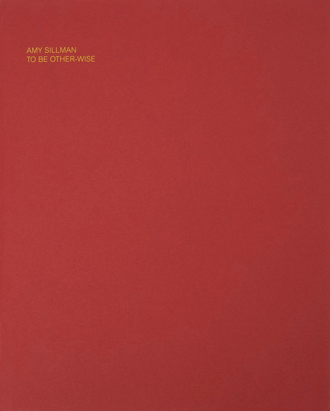 Amy Sillman: To Be Other-Wise