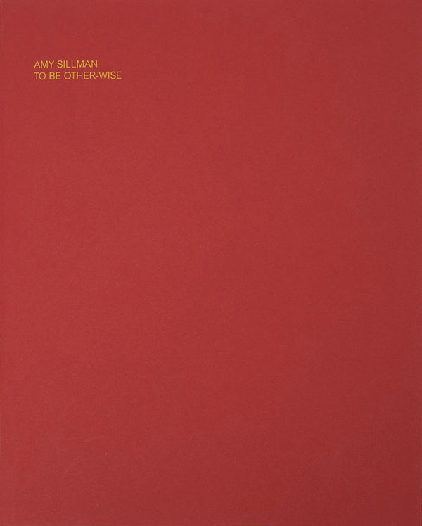 Amy Sillman: To Be Other-Wise