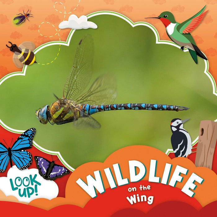 Wildlife on the Wing
