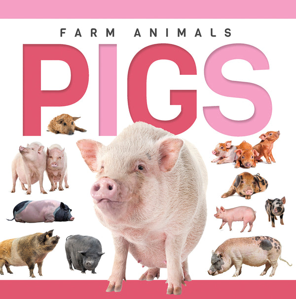 Pigs