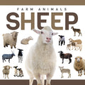 Sheep