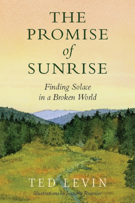 The Promise of Sunrise