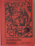 An Echo in Search of its Shadow, Aesthetics of the Repressed