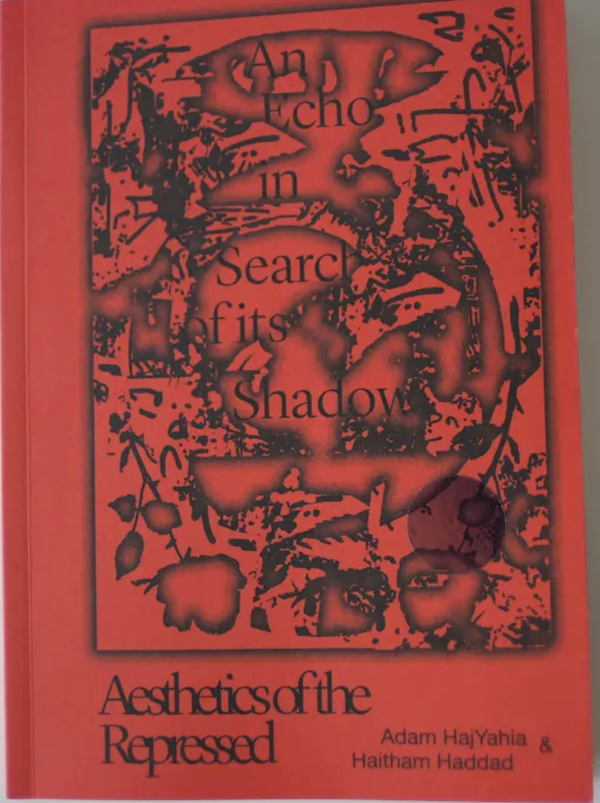 An Echo in Search of its Shadow, Aesthetics of the Repressed